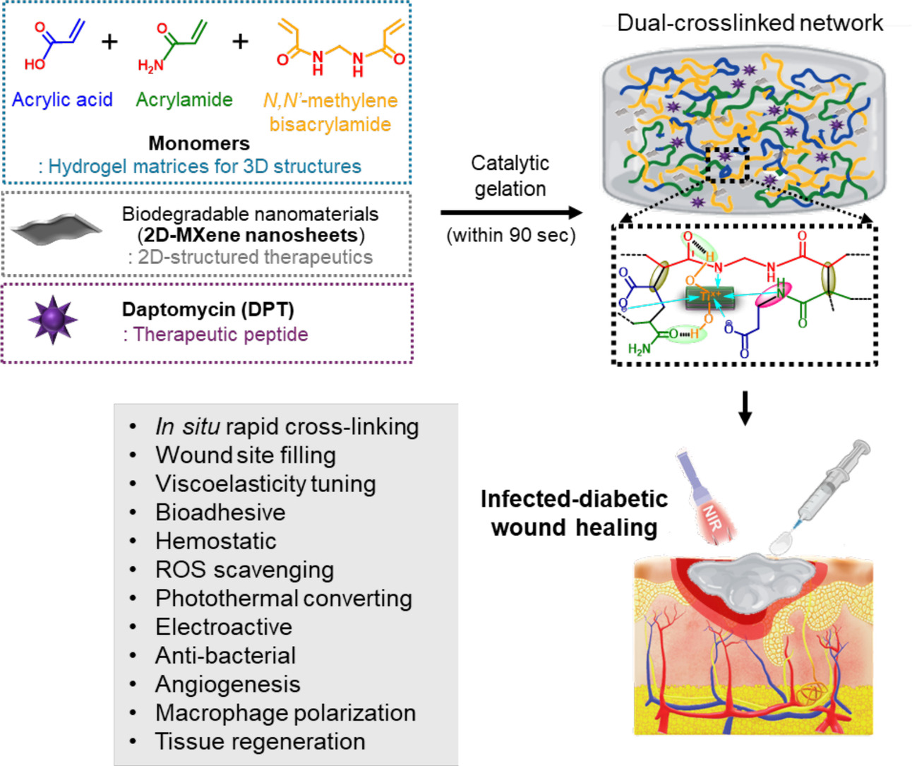 Spatiotemporally Adjustable Hybrid Hydrogels Interconnected by 2D MXene for Combinatorial Therapy of Infected Diabetic Wounds